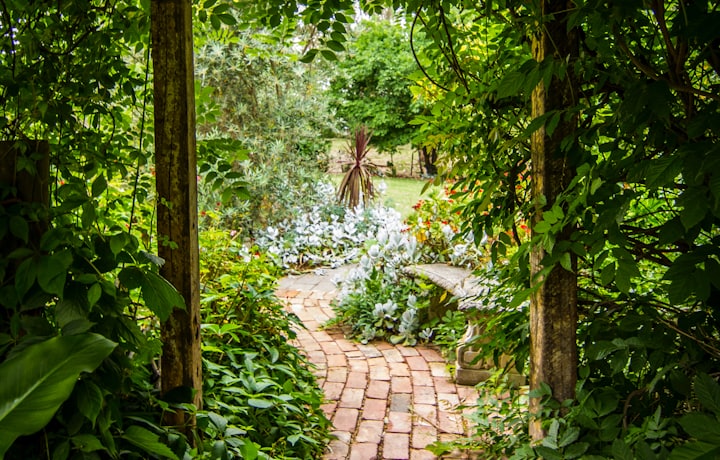 Lush landscaped garden path with layered planting