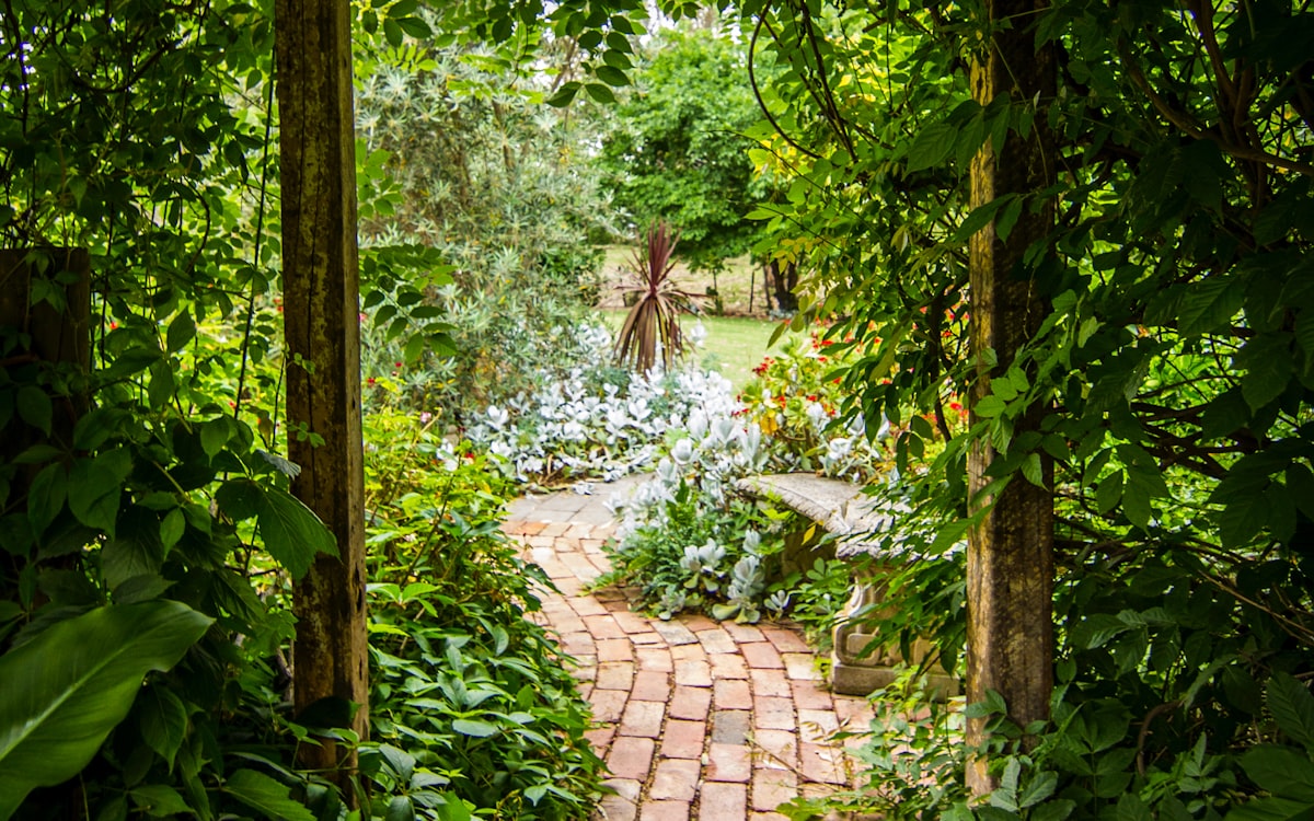 Lush landscaped garden path with layered planting